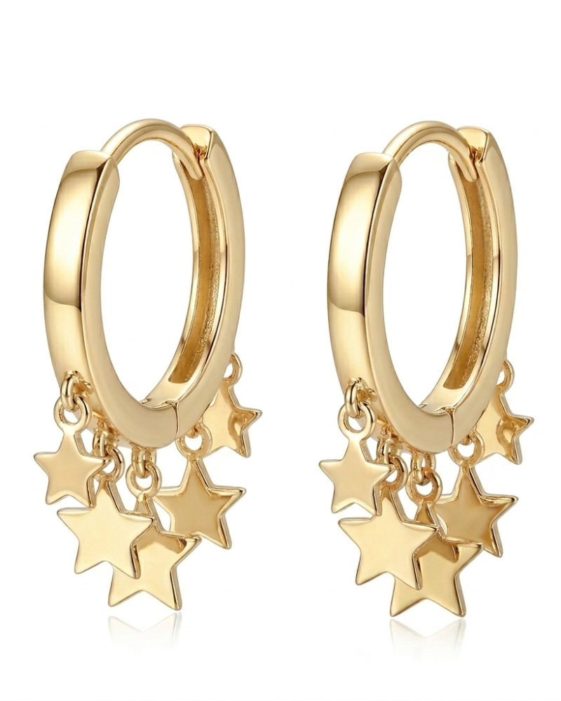 Star Tassel Hoop Earrings